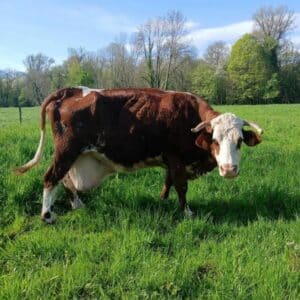Mamie Papillon, 3 mois après son arrivée