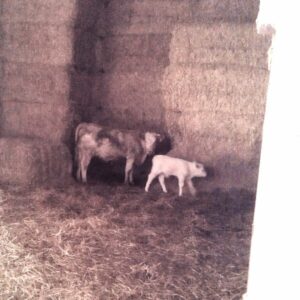 Alexis et sa maman, peu de temps après sa naissance