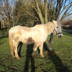 Derby à son arrivée