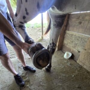 Ferrure spéciale en 2025