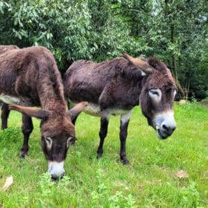 Petite Poupette en compagnie de son papa Diabolo